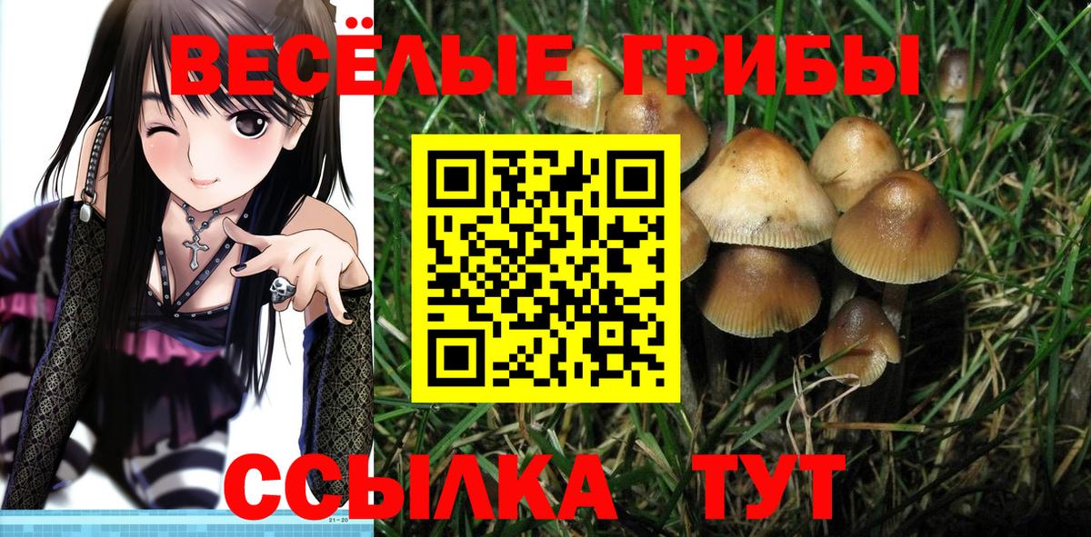 Псилоцибиновые грибы прущие грибы  Галлюциногенные грибы мухоморы  Вход с VPN  Ликино-Дулёво 